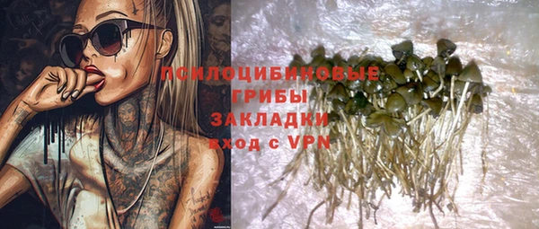 прущие крисы Горняк