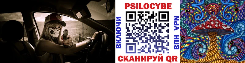 Галлюциногенные грибы ЛСД  Куровское 